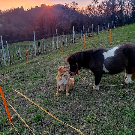 Farmház Marco *