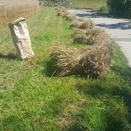 Gospodarstwo agroturystyczne Marco Bergamo