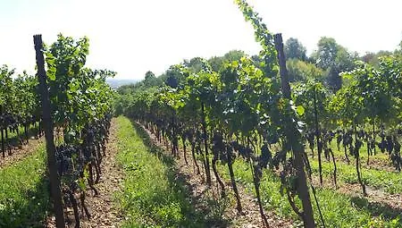 Marco Gospodarstwo agroturystyczne *