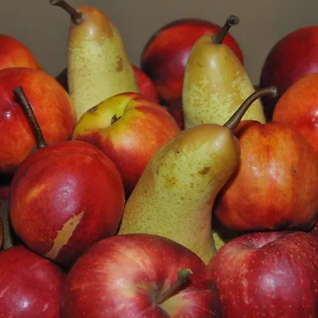 Marco Gospodarstwo agroturystyczne *