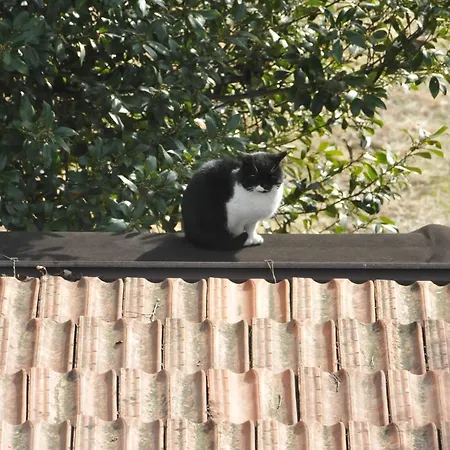 Marco Gospodarstwo agroturystyczne Bergamo