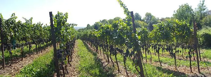 Marco Çiftlik konaklama *