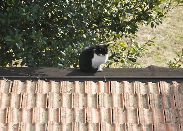 Marco Çiftlik konaklama Bergamo