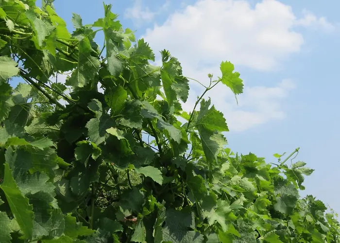 Farmház Marco Bergamo