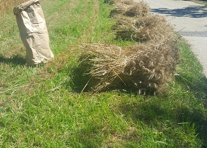 Farmház Marco Bergamo